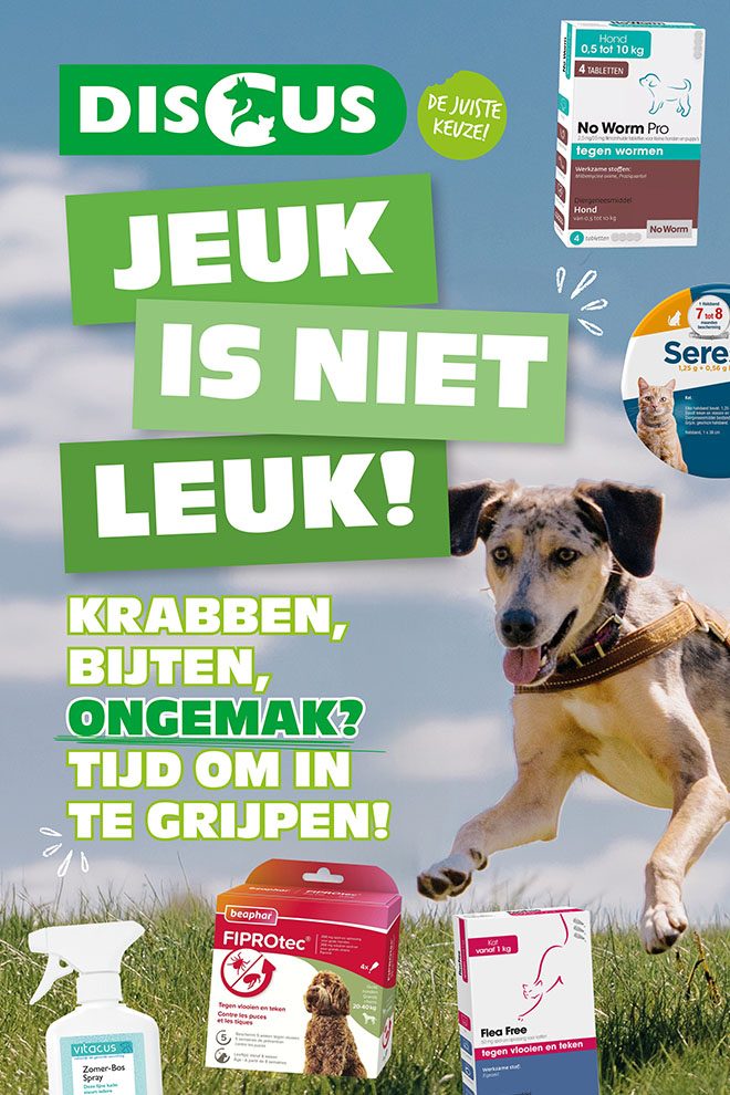 Discus dierenwinkel folder online Discus dierenwinkel folder online