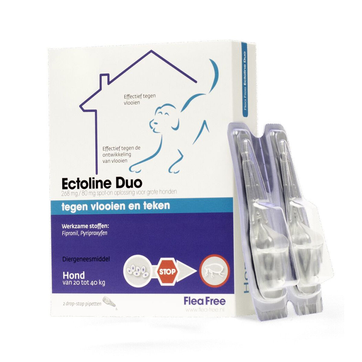 Ectoline flea clearance treatment