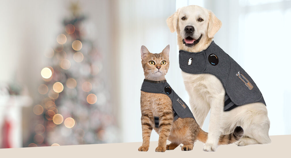 Thundershirt voor hond en kat d uitkomst bij vuurwerkangst