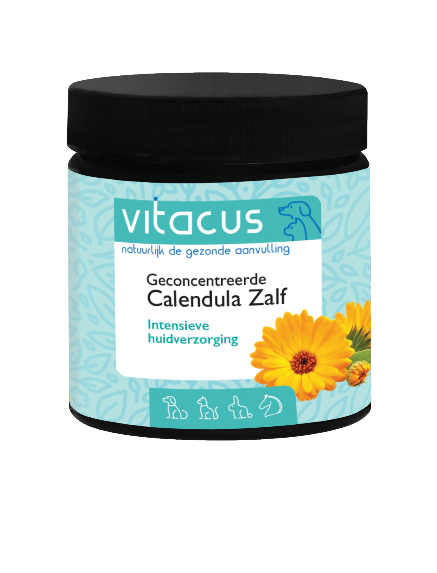 https://www.discus.nl/product/vitacus-geconcentreerde-calendula-zalf-55-ml/